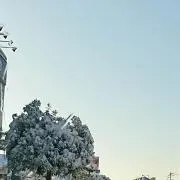 ソフトクリーム