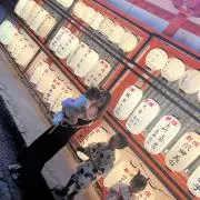 みの画像