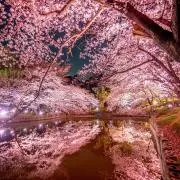 セブンルールの画像