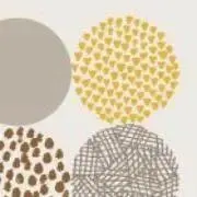 mini.の画像