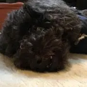 カズやん