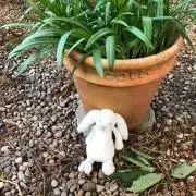ここの画像