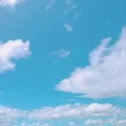 Pの画像