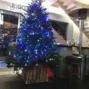 SS♡プロフ必読‼︎