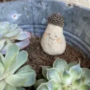 ♡のんびり(*´︶`*)♡
