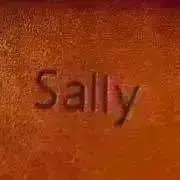Sally✩すぐ発送！の画像