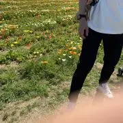 koの画像