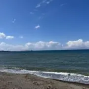 カナデの画像