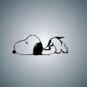 はなこ