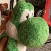 マツタケの画像