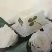 はなままda1の画像