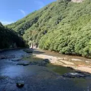 SGGKの画像