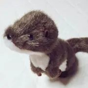 Melodyの画像