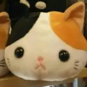 にゃ〜にゃ〜の画像