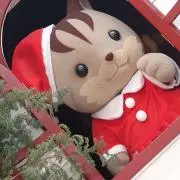 ゆうの画像