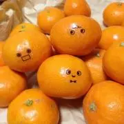 いよちゃんの画像