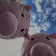 かの画像