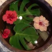 Huluの画像