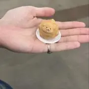 [90s セレクトショップ古着] いっぬ