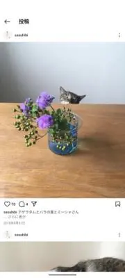 ありがとう！少ない物で生活するの画像