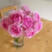 ゆーか