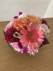 えくぼっちの画像