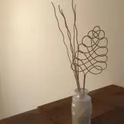 ぽちゃっこの画像