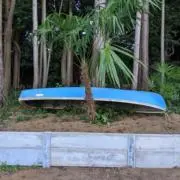 インペラの画像