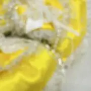 ynの画像