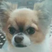 サクタロウの画像