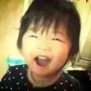 樹の画像