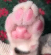 ゆうきの画像
