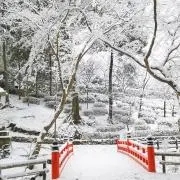AYA８月7日まで発送できませんの画像