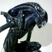 starlinの画像