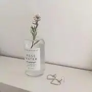 はるの画像