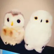かなたの画像