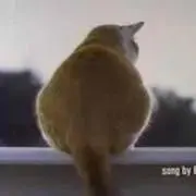もっちぃ(プロフ読んでてくださいな)