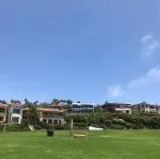 YLの画像
