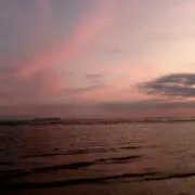 トマトの画像