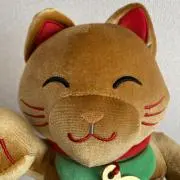 PINO°MAMA°の画像