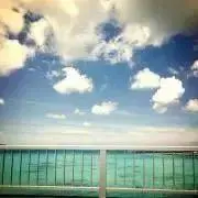 みーの画像