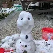 ちゃんこの画像