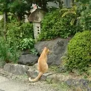 Jun-noの画像