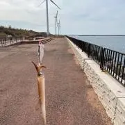 もぐもぐの画像