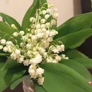 TMK☆☆☆の画像