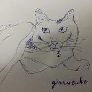 ぎんのすけ