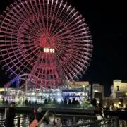 ウトの画像