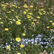 rrr断捨離中⭐︎の画像