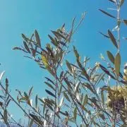 ゆっこ♡多忙につき休眠中の画像