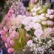 k @24時間以内発送の画像